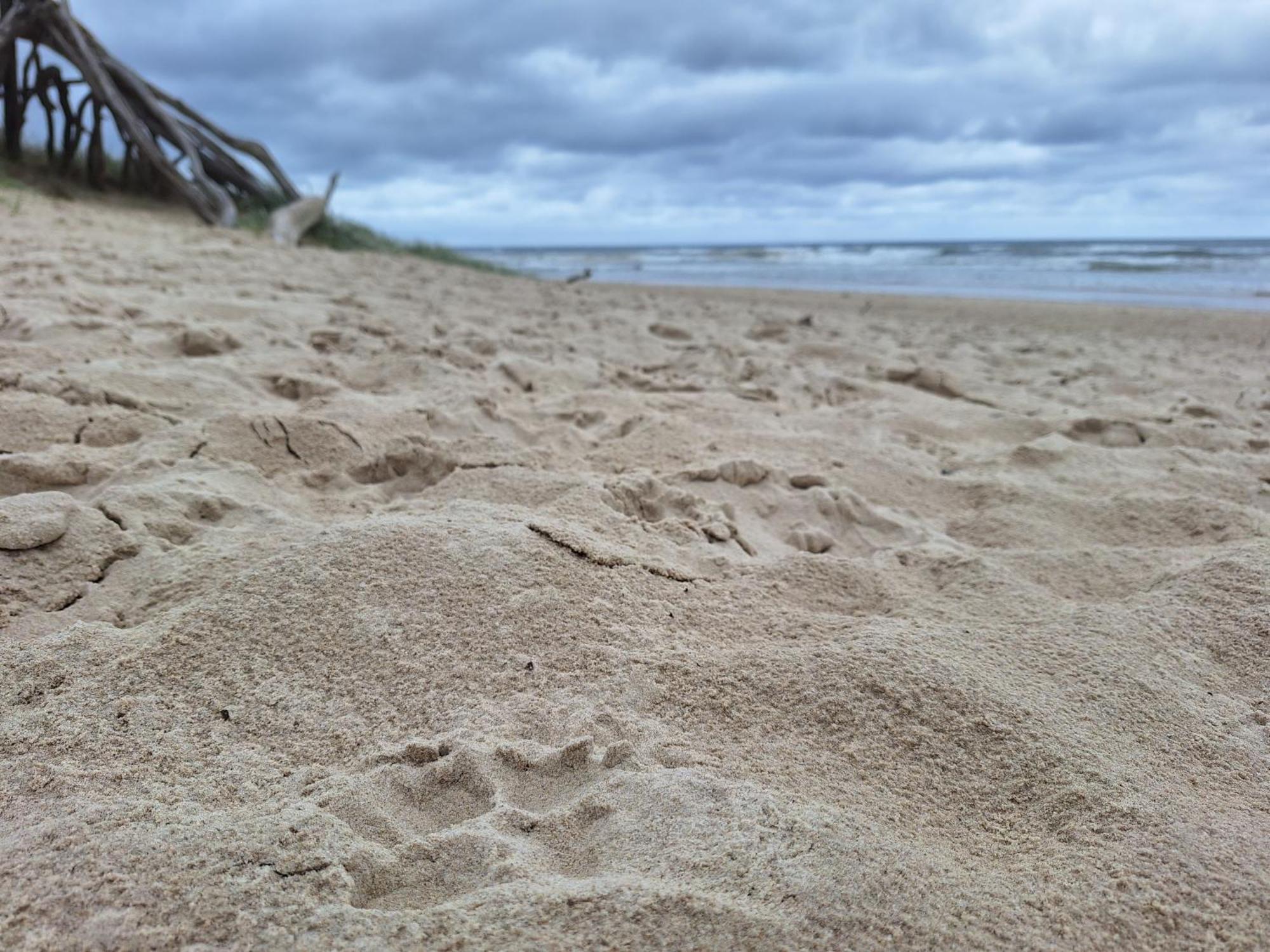 Ballina Beach Nature Resort Luaran gambar