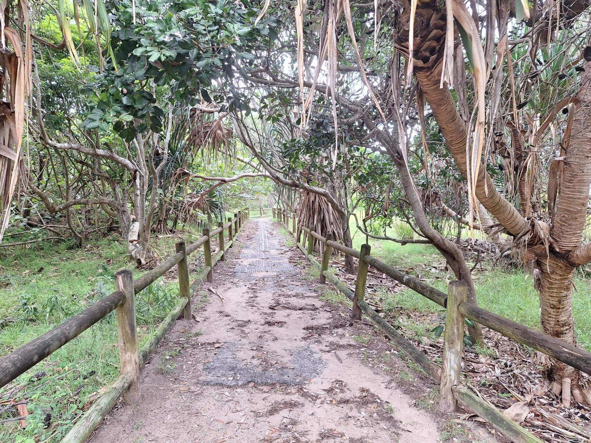 Ballina Beach Nature Resort Luaran gambar
